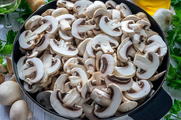CHAMPIÑONES